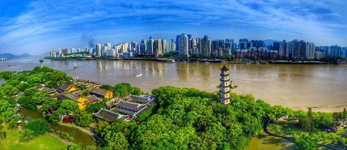 壽縣青少年龍舟隊出征全國賽，溫州賽場展風采