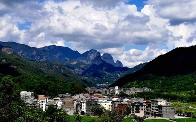 青山綠水間的守護者——探訪雁蕩山國家森林公園中的芙蓉鎮大山背村